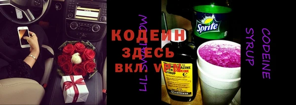 мдпв Осинники
