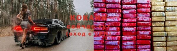 мдпв Осинники
