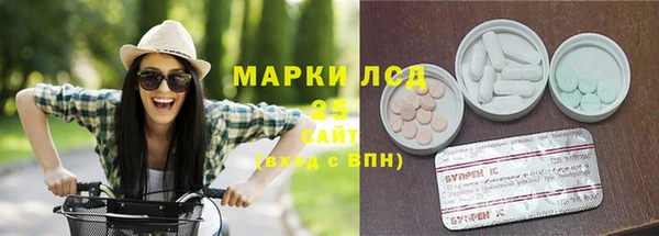 стафф Осташков