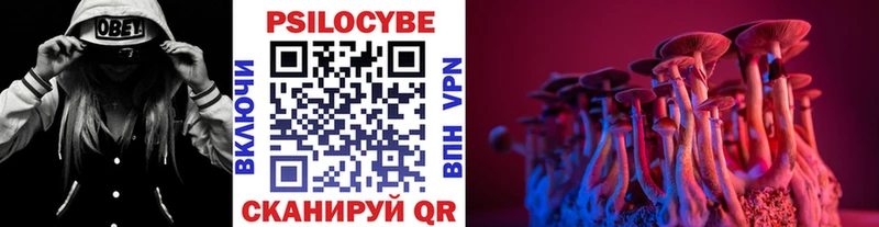 где купить наркоту  Бодайбо  Псилоцибиновые грибы ЛСД 